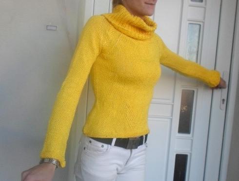 SVETR NA JORKŠÍRKA