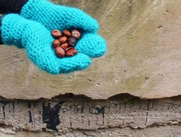 Čepice Neonka žlutavá