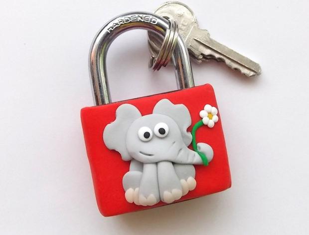 Dvojčata k nerozeznání - dospělé