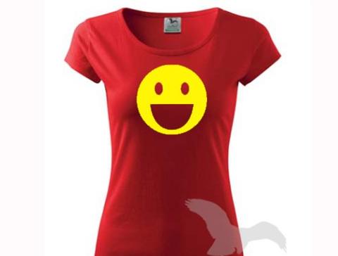 Dvojčata k nerozeznání - dospělé