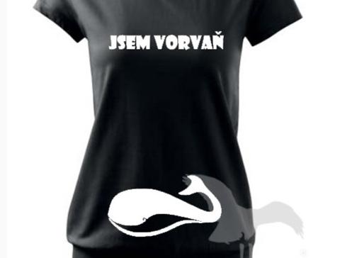 Dvojčata k nerozeznání - dospělé