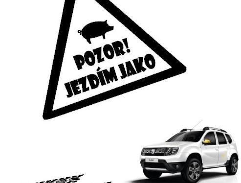 Dvojčata k nerozeznání - dospělé