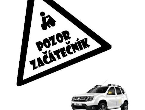 Dvojčata k nerozeznání - dospělé