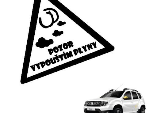 Dvojčata k nerozeznání - dospělé