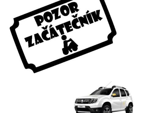 Dvojčata k nerozeznání - dospělé