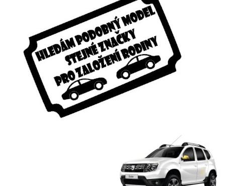 Dvojčata k nerozeznání - dospělé