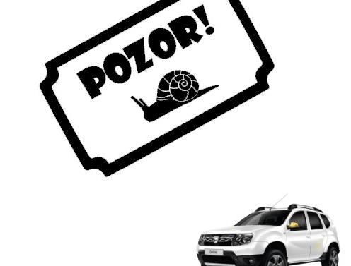 Dvojčata k nerozeznání - dospělé