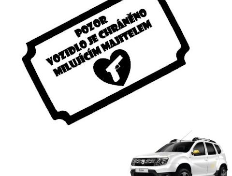 Dvojčata k nerozeznání - dospělé