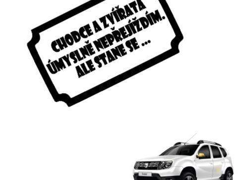 Dvojčata k nerozeznání - dospělé