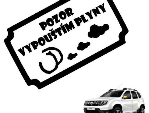 Dvojčata k nerozeznání - dospělé