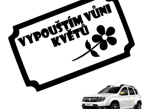 Dvojčata k nerozeznání - dospělé