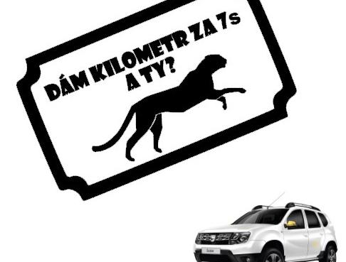 Dvojčata k nerozeznání - dospělé