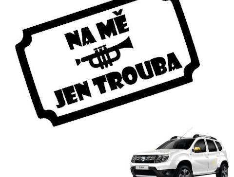 Dvojčata k nerozeznání - dospělé