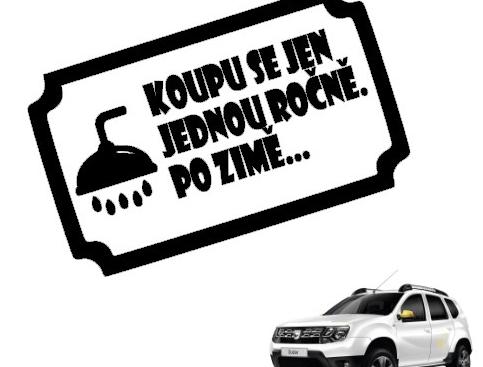 Dvojčata k nerozeznání - dospělé