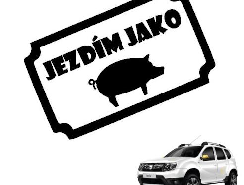 Dvojčata k nerozeznání - dospělé