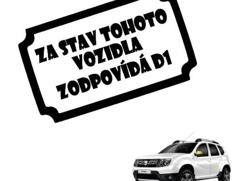 Dvojčata k nerozeznání - dospělé