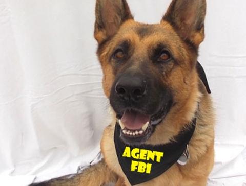 Dvojčata k nerozeznání - dospělé