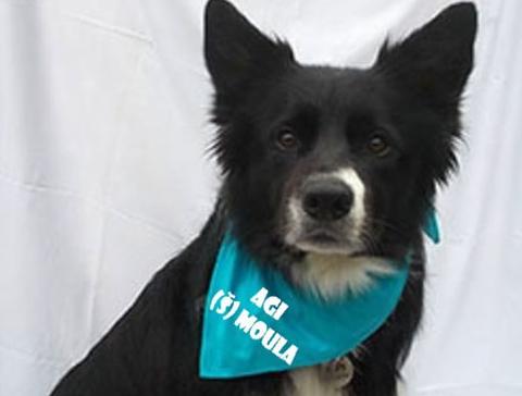 Dvojčata k nerozeznání - dospělé