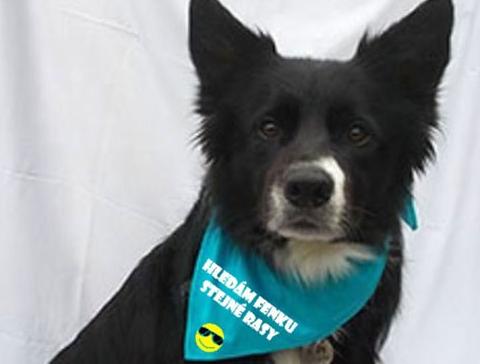 Dvojčata k nerozeznání - dospělé