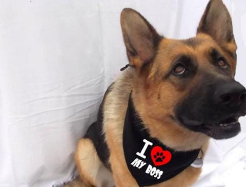 Dvojčata k nerozeznání - dospělé