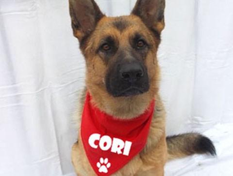 Dvojčata k nerozeznání - dospělé