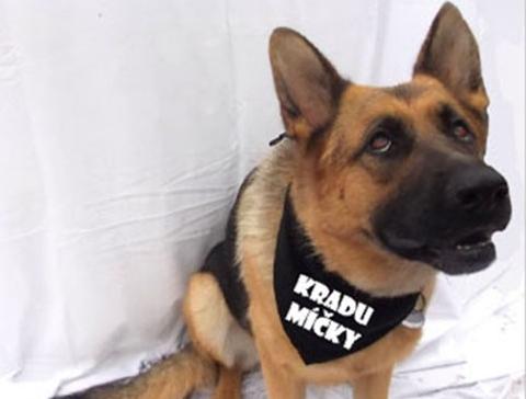 Dvojčata k nerozeznání - dospělé