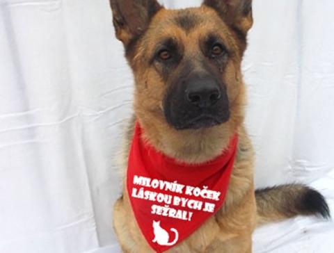 Dvojčata k nerozeznání - dospělé