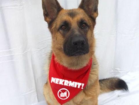 Dvojčata k nerozeznání - dospělé