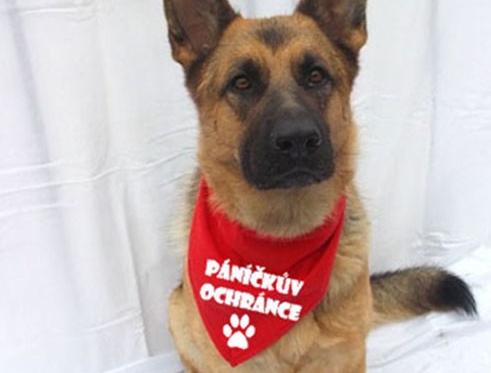 Dvojčata k nerozeznání - dospělé