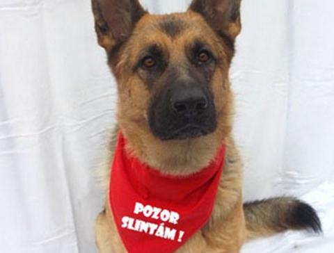 Dvojčata k nerozeznání - dospělé