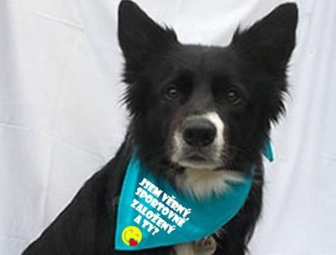 Dvojčata k nerozeznání - dospělé