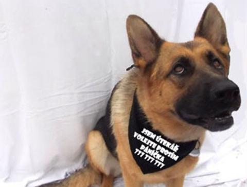 Dvojčata k nerozeznání - dospělé