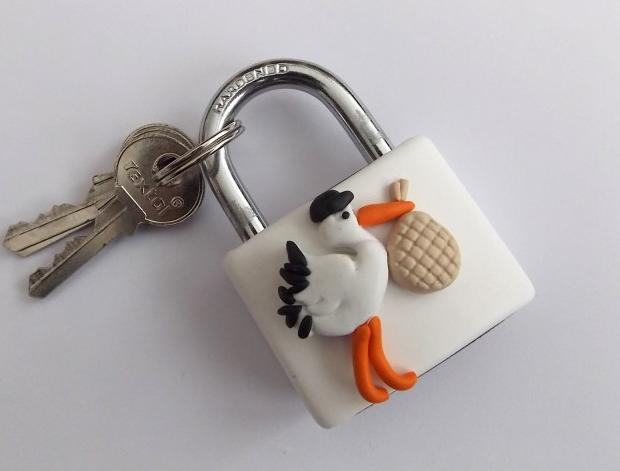 Dvojčata k nerozeznání - dospělé