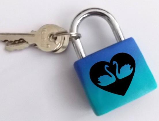 Dvojčata k nerozeznání - dospělé