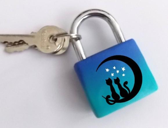 Dvojčata k nerozeznání - dospělé