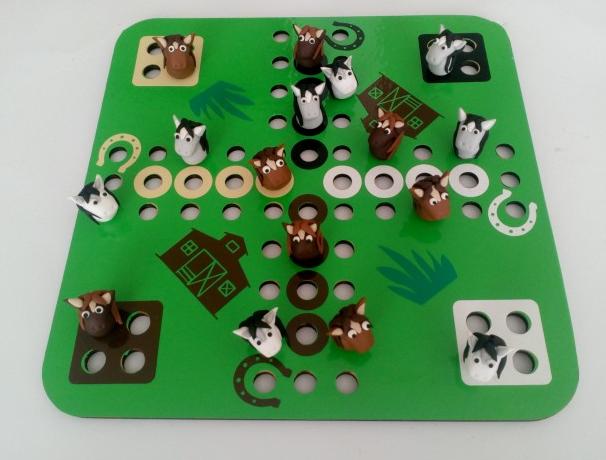 Dvojčata k nerozeznání - dospělé