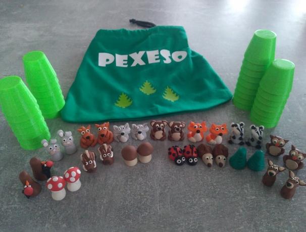 Dvojčata k nerozeznání - dospělé