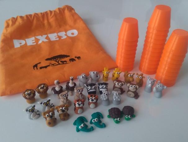 Dvojčata k nerozeznání - dospělé