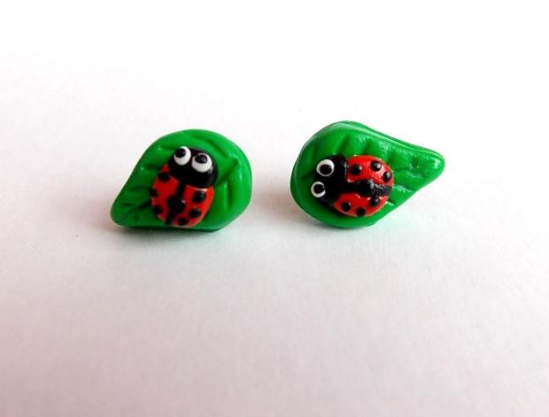 Dvojčata k nerozeznání - dospělé