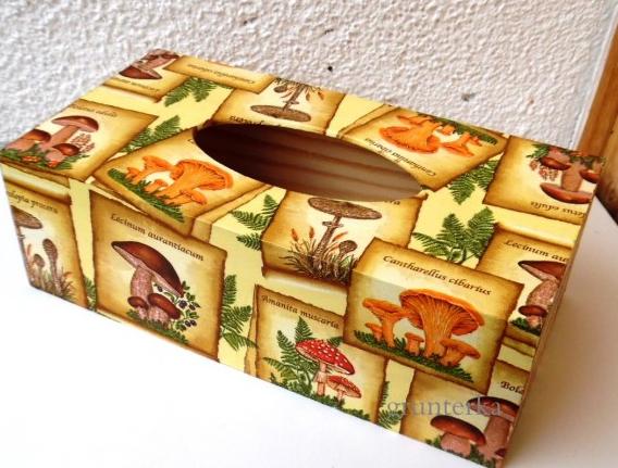 na kapesníky houbová krabička kapesníky krabice decoupage grunterka kapesník ubrousky houby 