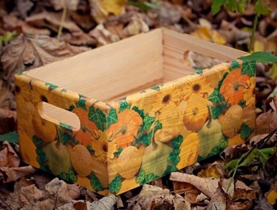 box dýňový