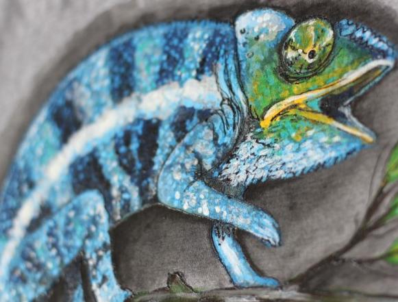 Chameleon z Jemenu, na objednávku