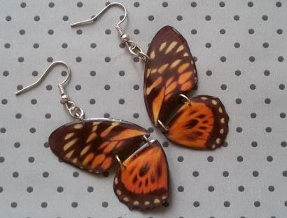 Motýlí křídla - hnědý motýl hmyz motýl letní motýlek butterfly zajímavé paví oko neobyčejné motílí monarcha babočka babočkovské 