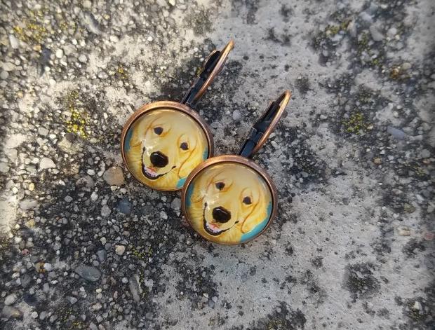 Růžové kvítí - náušnice