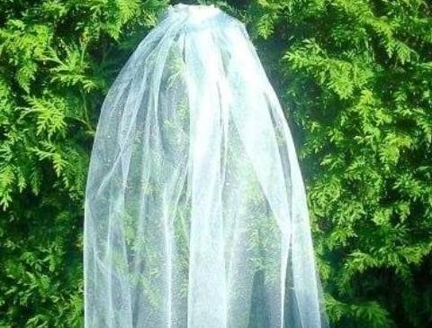 Svatební vývazky s kytičkou - zlaté