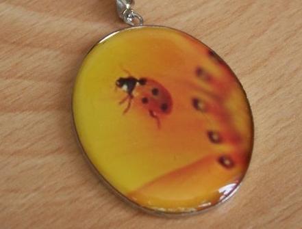 Přívěsek z křištálové pryskyřice přívěsek pryskyřice motiv veselý beruška oválný grafika resin 